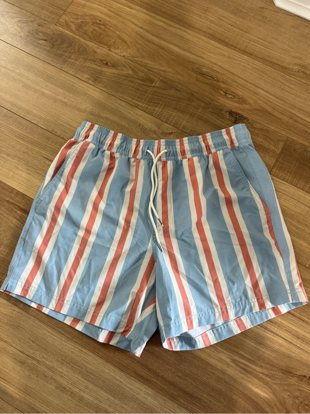 Men’s RSQ Striped Elastic Waist Swim Shorts in Dusty Blue and Coral